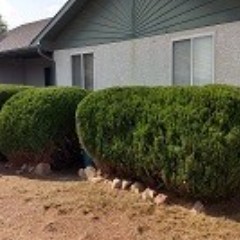 Complete Yard Service