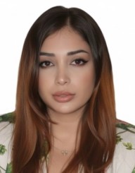 Dr. Arezoo Karimaghaei