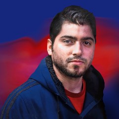 Animesh Sarma