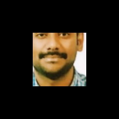 B.S. Karthik