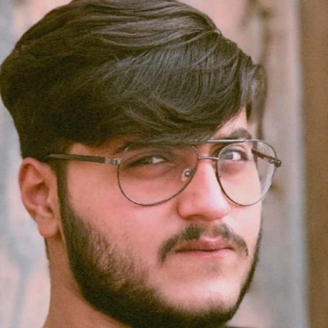 MIRZA WALI HUSAIN