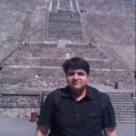 Yogendra Trivedi