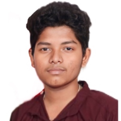 BHARANIDHARAN A