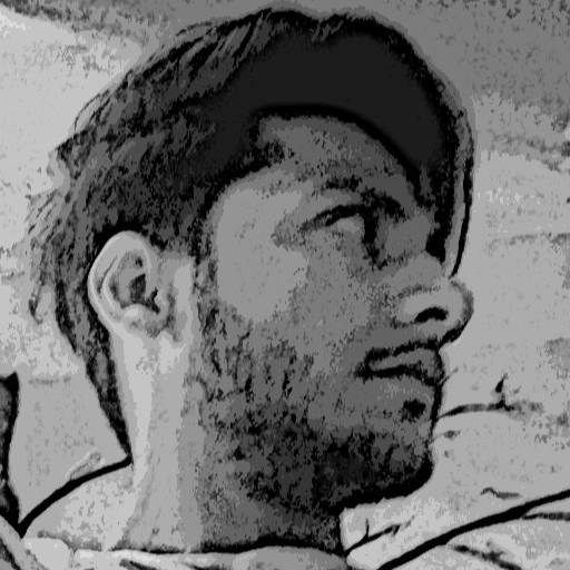 Talib Khan