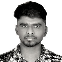 Thalapathi Palanisamy