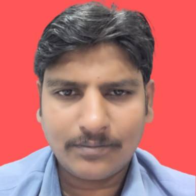 Vijay Prabhakaran N