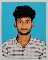 Thillai Raja S