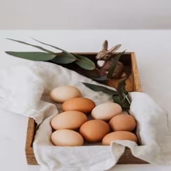 S & R Egg Ranch