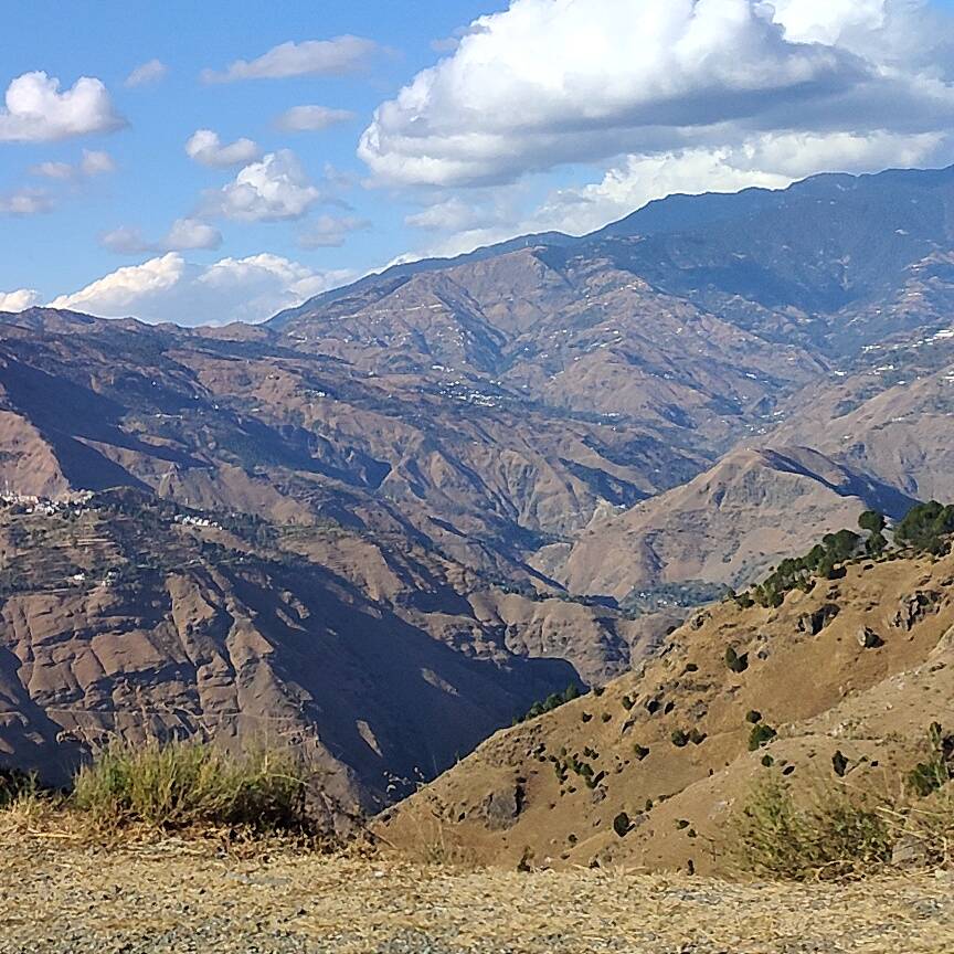 Rahul Pal
