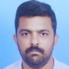 NIPIN M V