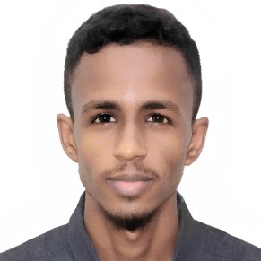 Houssein Mohamed Nour