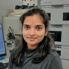 V. Lakshmi Prasanna