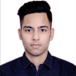 RANJAN ARORA
