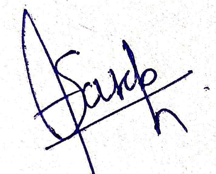 Saurabh Jaybhay