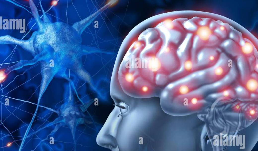 web