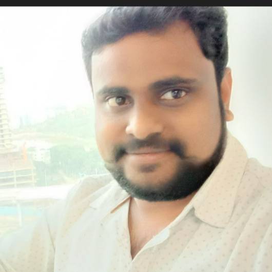 V V Ashok Polina
