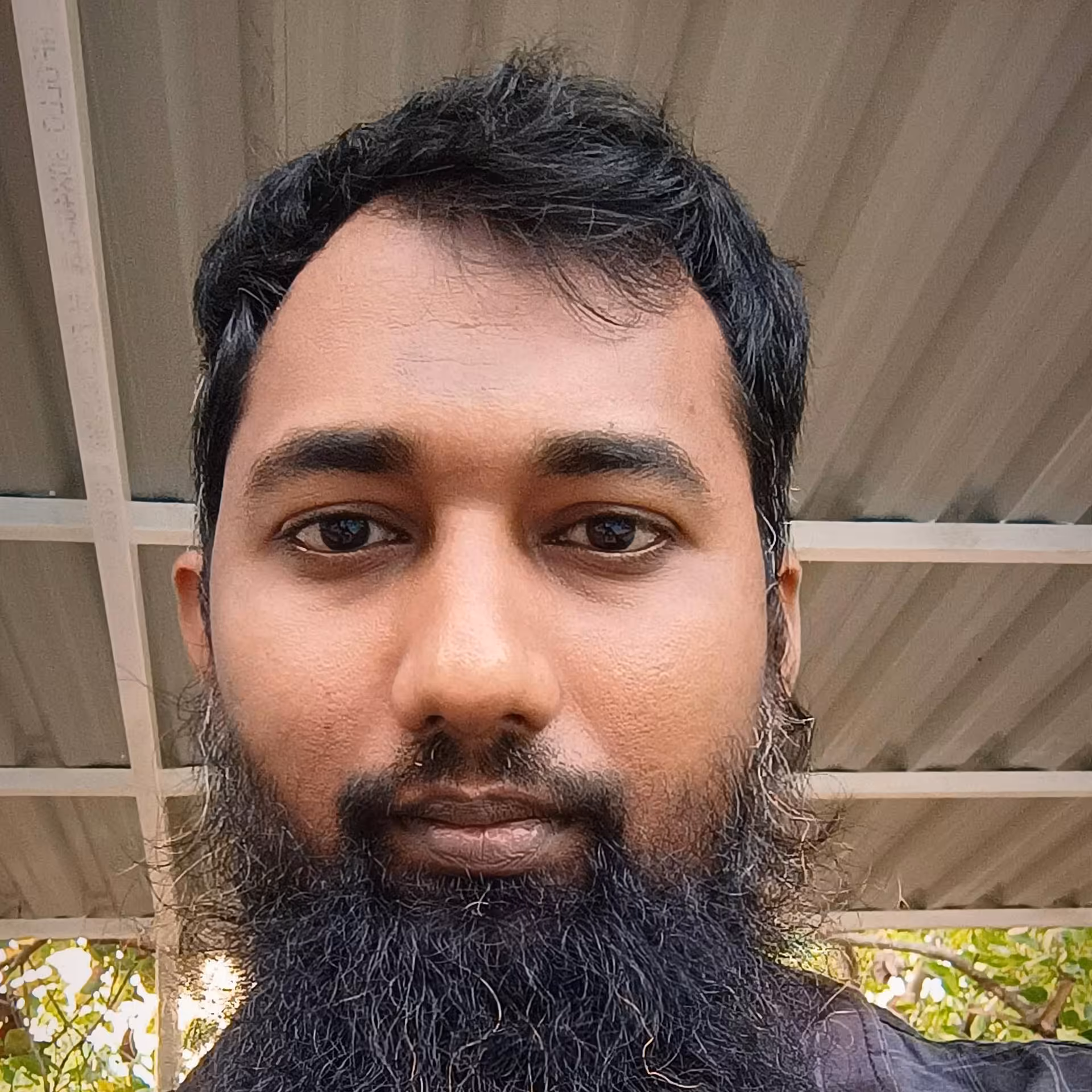 Ali Shaikh