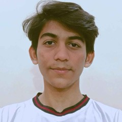 MAYANK
