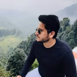 Ameer Hamza
