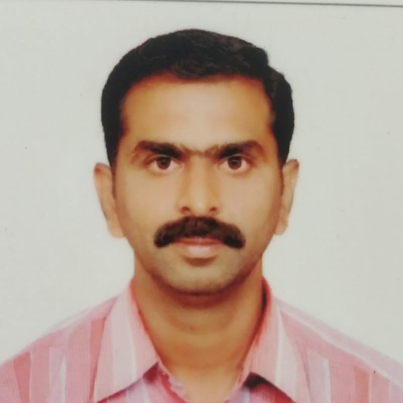 V. Sankar Ananth