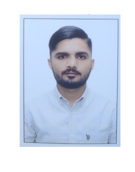 VIRAM BAVA