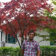 TAMOGHNA BHADURI