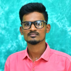 Parthiban Narayanan