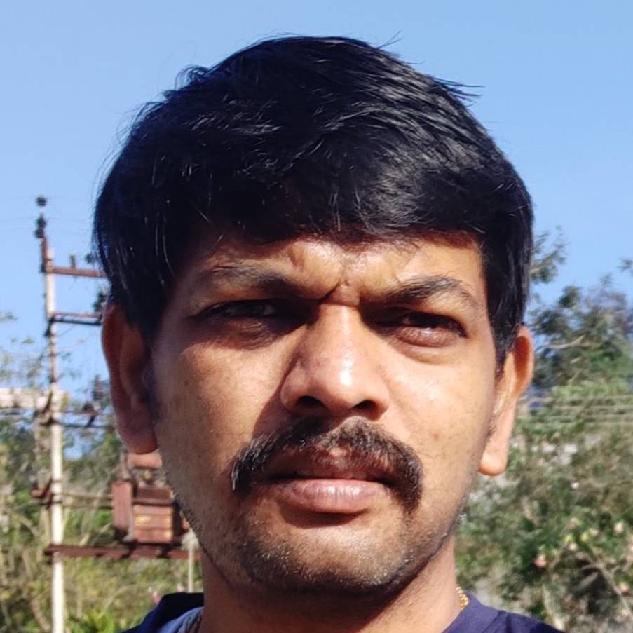 N Shashi Kumar