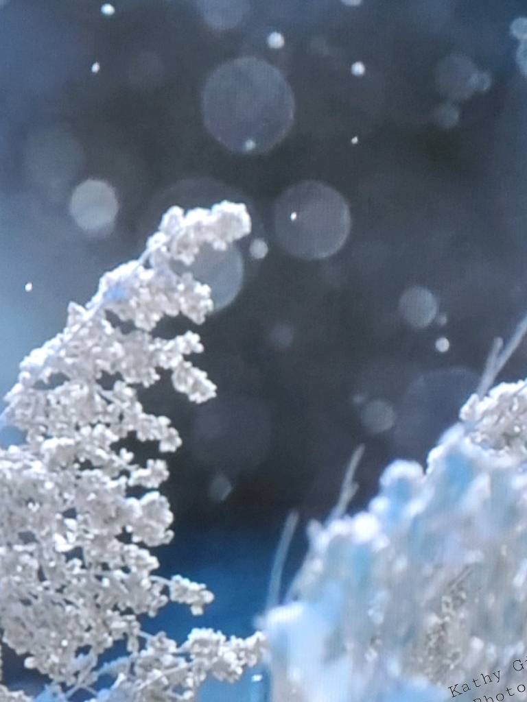 web