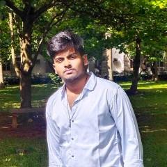 Mule Vishnu