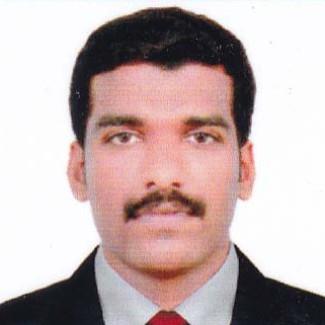 VIPIN MAVILA