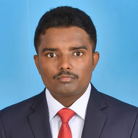 Vignesh N