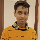 Vipul