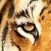 Test Stg