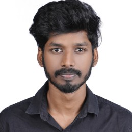 Partha Sarathi N S